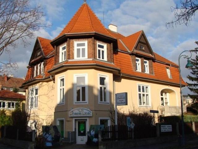 6 Schlafzimmer Wohnung Niederösterreich Niederösterreich 103843529