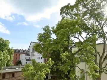 6 Schlafzimmer Wohnung Darmstadt Deutschland 101273972