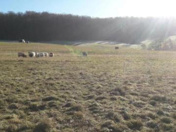 Kohden, Mittelhessen, Hessen, Bundesland