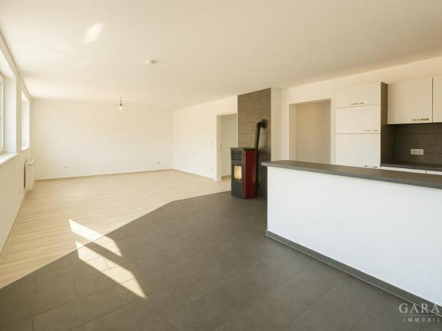 6 Schlafzimmer Haus Dillingen A.d. Donau Deutschland 103412393