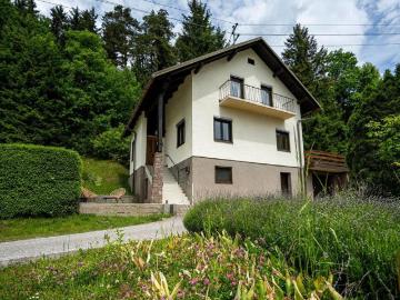 6 Schlafzimmer Haus Kärnten Kärnten 103545215