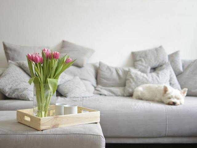 6 Schlafzimmer Haus Steißlingen Deutschland 104795744