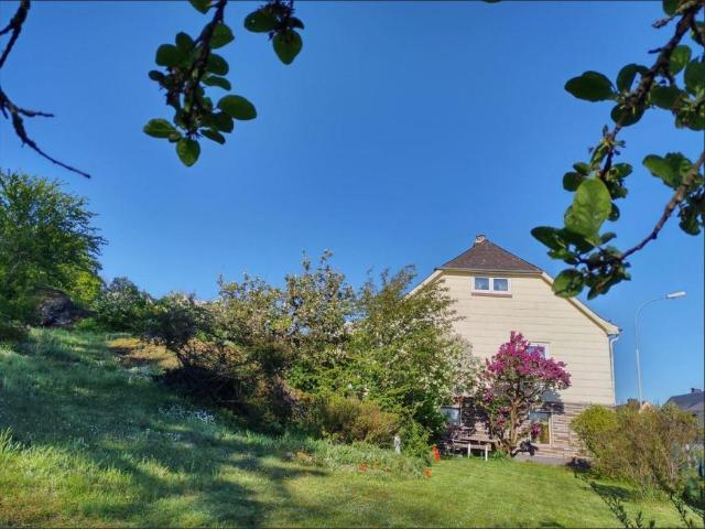 6 Schlafzimmer Haus Selbitz Deutschland 101888353