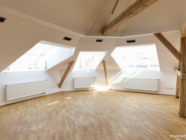 6 ZIMMER TERRASSEN WOHNUNG AN DER MARIAHILFER STRASSE!