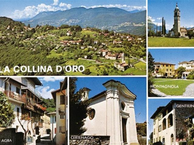 6 Zimmer Villa close to TASIS, Montagnola, Collina d'Oto