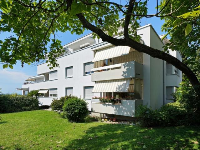 1 Nettomietzins geschenkt traumhafte 6 Zimmer Maisonette Attikawohnung mit