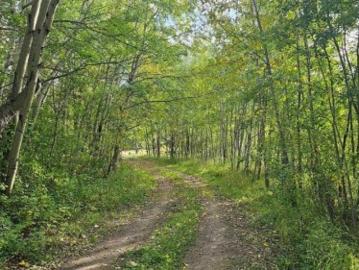 6 2415 Twp Road 521, Rural Parkland County, AB, T0E 0H0 house for sale | Listing ID E4475 | Royal LePage