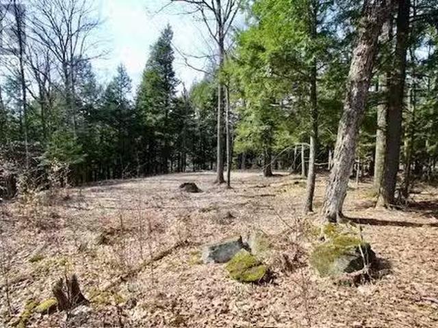 6 22 Gryffin Bluffs Lane, Huntsville Brunel, ON, P0B 1M0.