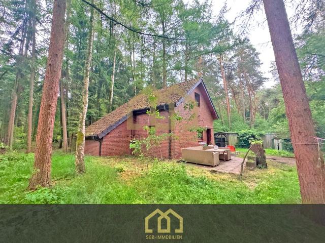 6.503 m² Naturparadies an der Hunte – Wochenendhaus in traumhafter Waldlage