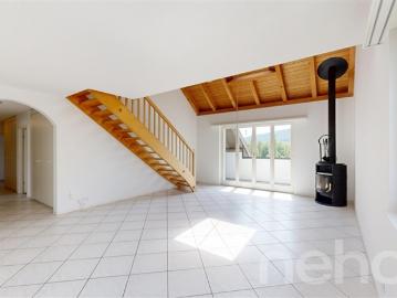 Penthouse kaufen in Amelie Moser-Strasse