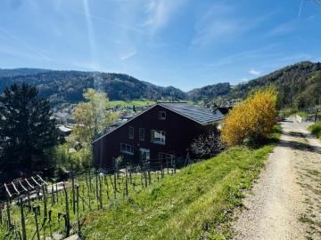 6.5 Zimmer Architektenhaus mit Pool, Garagenbox, 3 Parkplätzen und Weitsicht
