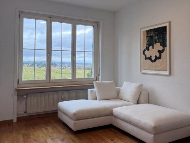 6.5 Zimmer Doppeleinfamilienhaus mit grossem Garten, Pool und Weitsicht