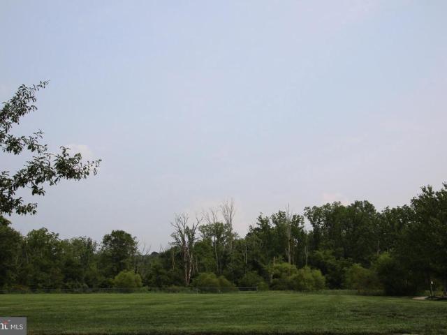 73 Williams Drive