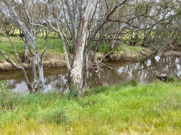 73 Acre Lifestyle Opportunity Wide Open Spaces & River Access