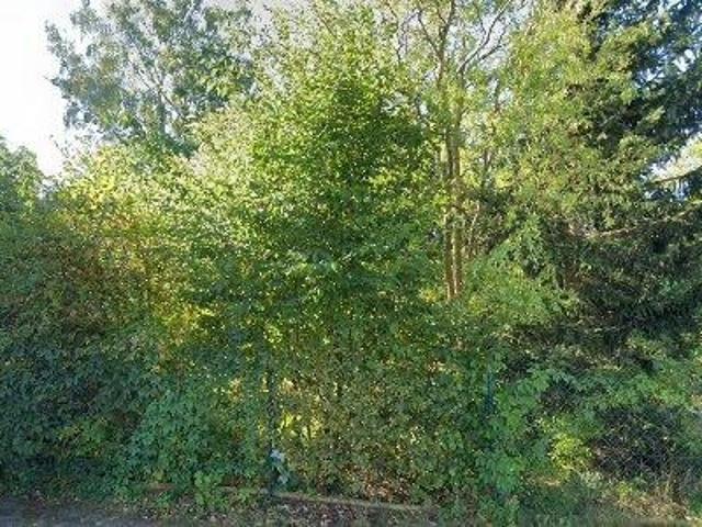 73 m2 apartment for rent in Dahme Spreewald