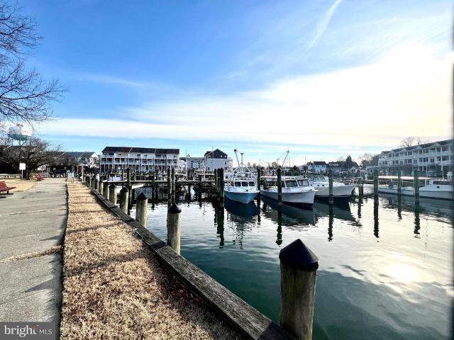 700 Cattail Cove, Unit 412, Cambridge, MD 21613 | MLS #MDDO2011