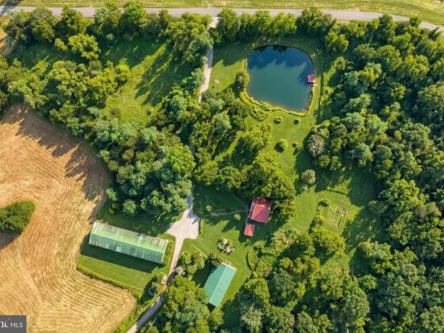 700 White Oak Tree Road