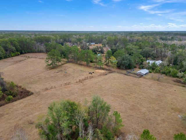701 Barber Hill, Lamont, FL 32336 | MLS #396561