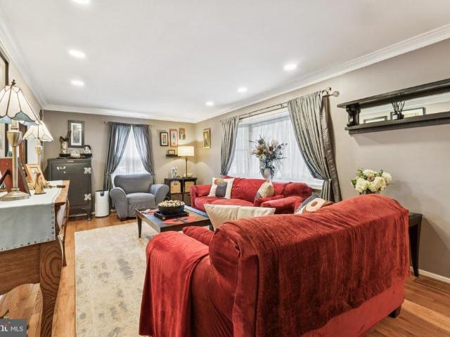 7041 panorama ct