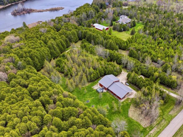 704 n forest drive