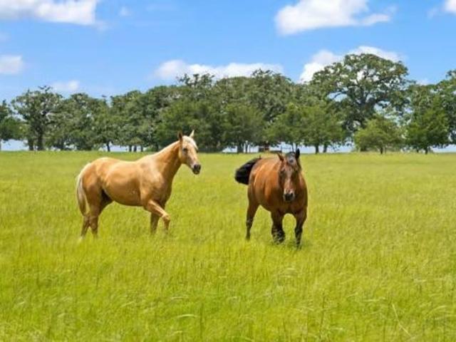 705 Antioch Road, Paige, US, TX