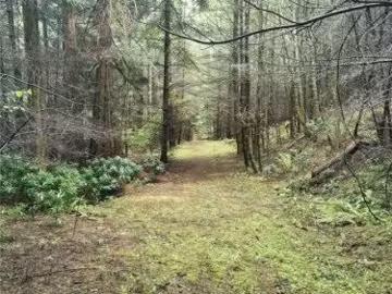 706 Fernhill Rd, Mayne Island, BC, V0N 2J1 vacant land for s.