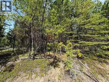 7083 Salter Road, Sheridan Lake, BC, V0K 1X1 vacant land for.