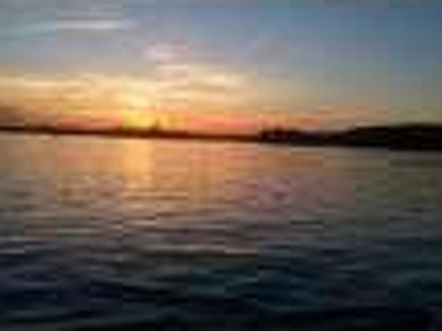 $70 / 3br 1000ftÂ² Newly renovated cabin with pontoon