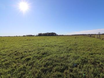 70 Acres At Austral Eden