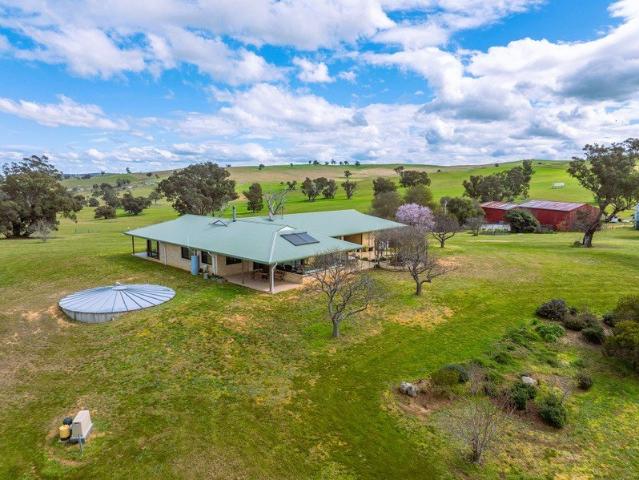 710* ACRES PRIME HARDENJUGIONG MIXED FARMING HOLDING