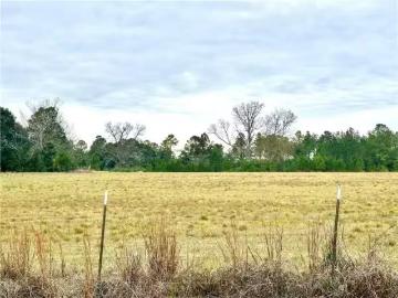 7126 PATRICK RD, CITRONELLE, AL 36522