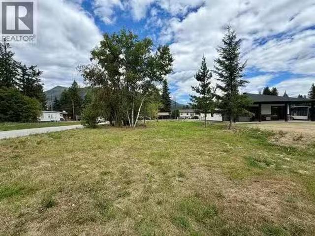 719 Parksville Street, Sicamous, BC, V0E 2V0 vacant land for.