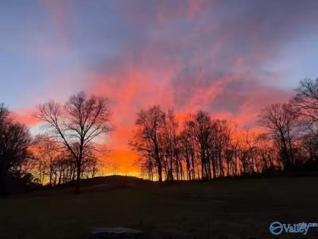 7200 WARRENTON RD, GUNTERSVILLE, AL 35976