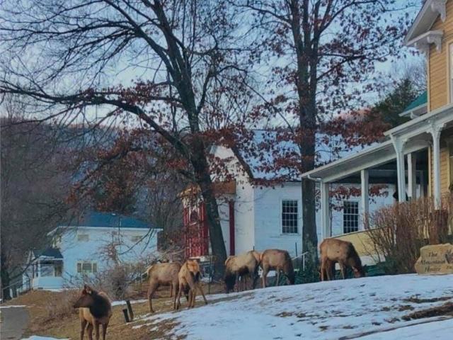7227 3rd St, Driftwood, PA 15832 | MLS #R1629