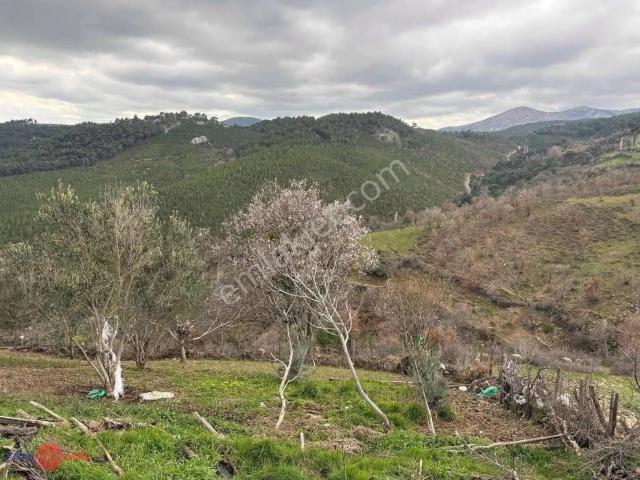 724 M2 Oturulabilir Durumda Satılık Bahçeli Taş Köyevi