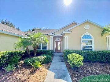 727 Grape Ivy Ln, New Smyrna Beach, FL 32168 | MLS #1076