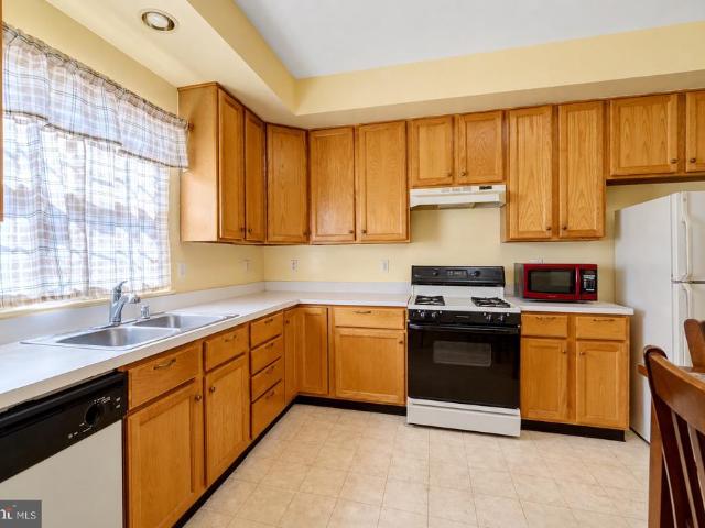 7305 Rotunda Court