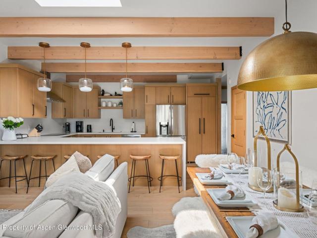731 E Durant Avenue, 17, Aspen, CO