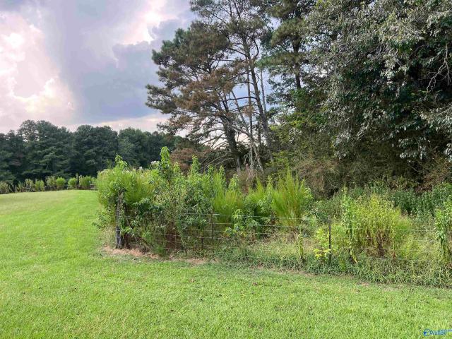 731 Williamsburg Road