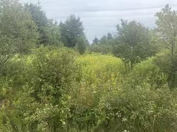 735 Clements Road, White Sands, PE, C0A 1W0 vacant land for.