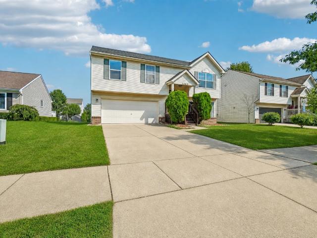 7365 Maplelawn Drive