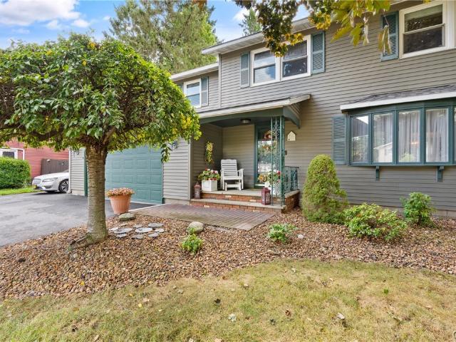 7361 Palomino Path