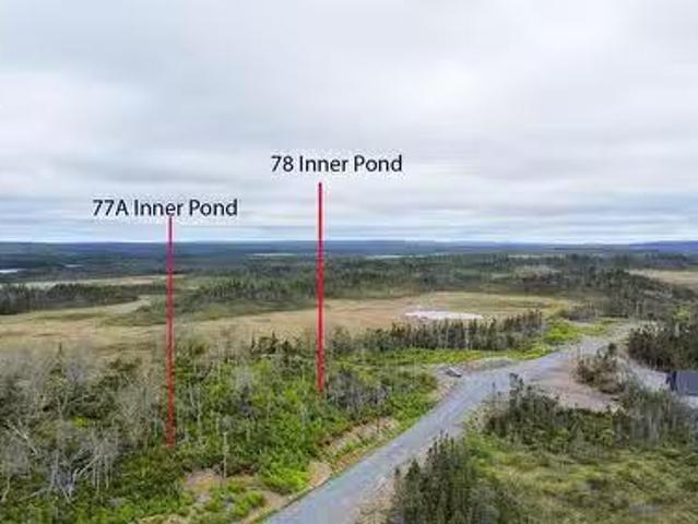 77A Inner Pond North Road, Ocean Pond, NL, A0B 3K0 vacant la.