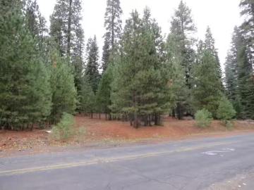 740 FEATHER RIVER DR, CHESTER, CA 96020