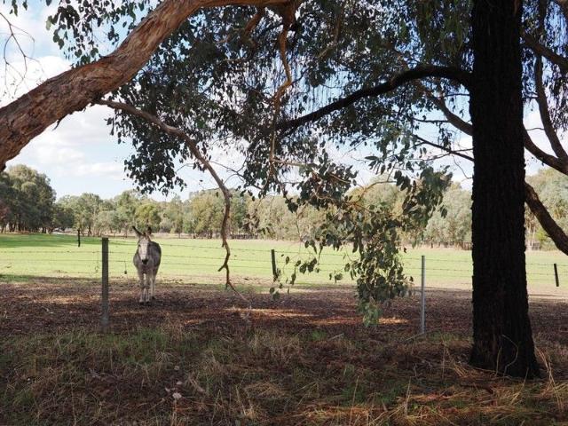 7440M2 1.84 Acres Highly Picturesque Township Zoned Building Block