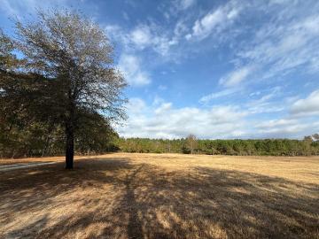 Williston town, Barnwell County, South Carolina
