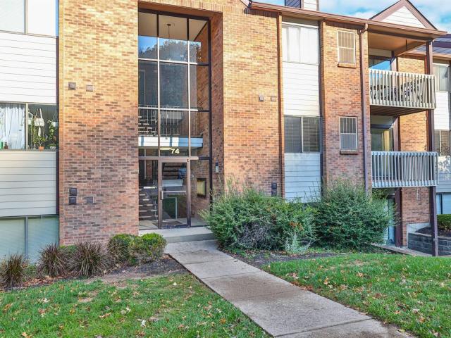 74 View Terrace Drive 7