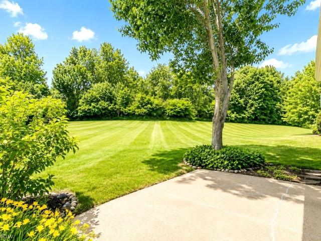 7500 Andrea Drive