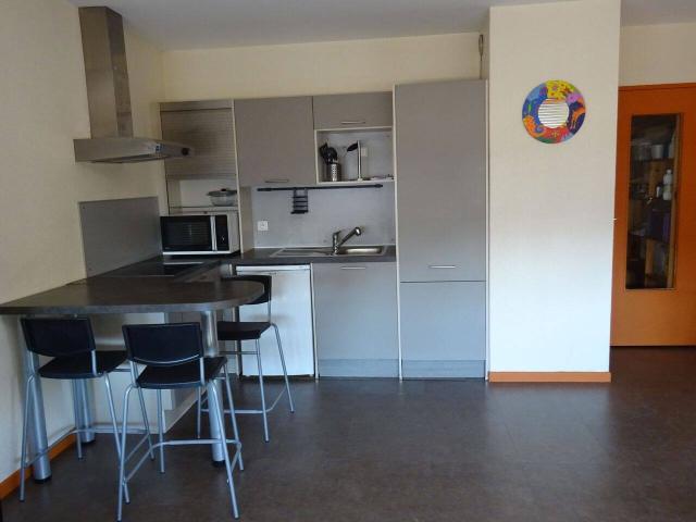 750 euros CC lumineux studio meublé 32m2 Villeurbanne Gratte Ciel