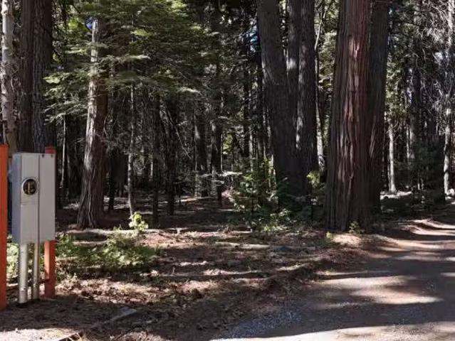 750 HIDEAWAY LOOP, ALTA, CA 95701